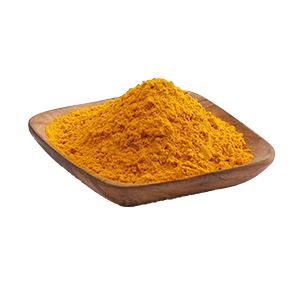 turmeric_i_1920_1024x1024@2x